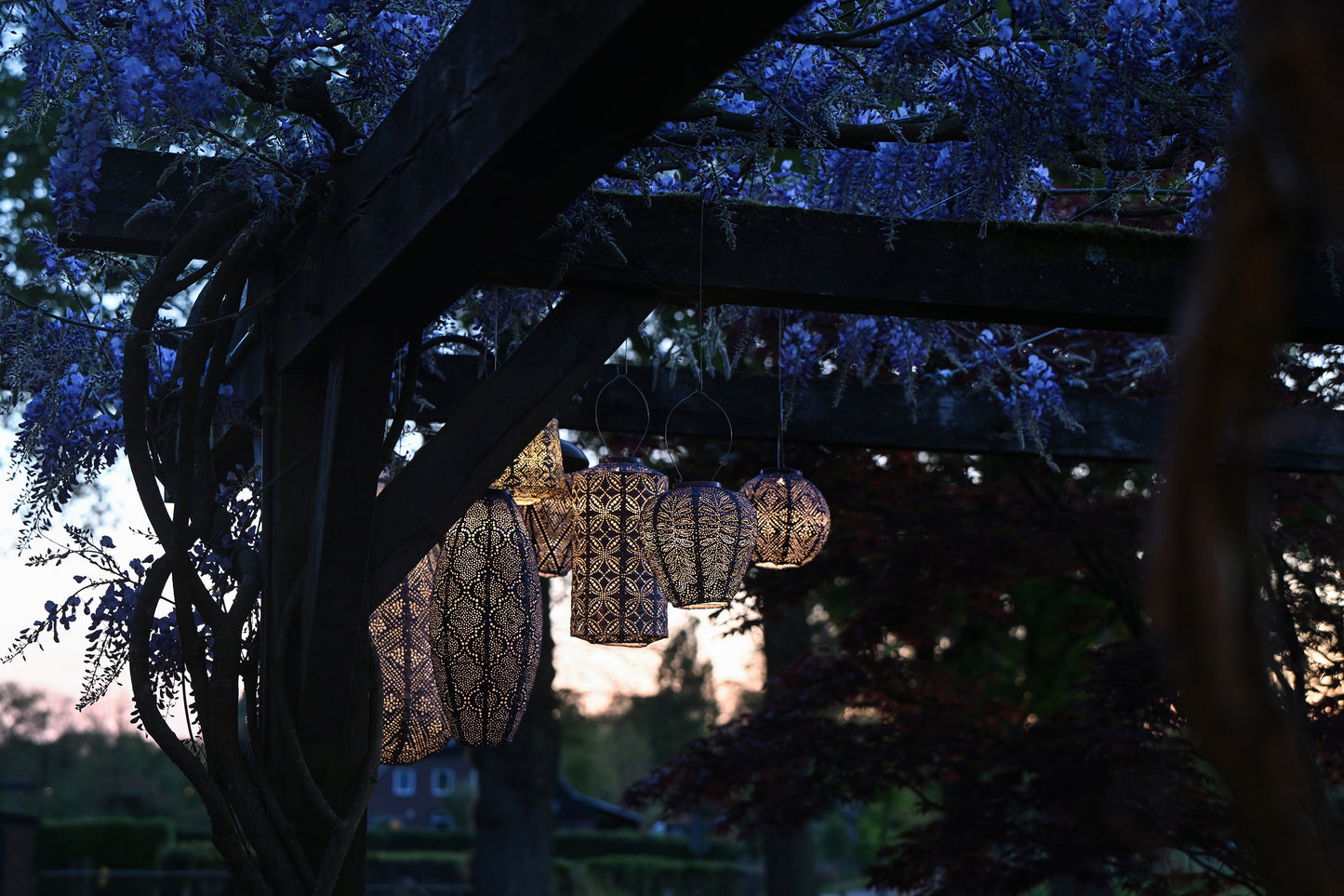 Lumiz Lantern Balloon 20cm Mauve Purple Folia