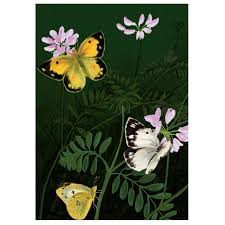 Two Bad Mice Cards