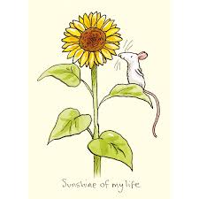 Two Bad Mice Cards
