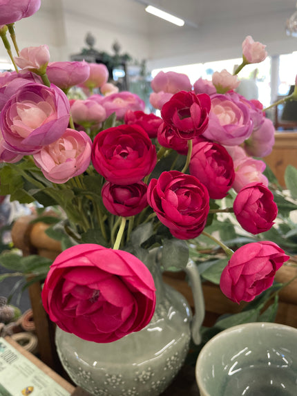 Mini Ranunculous Beauty