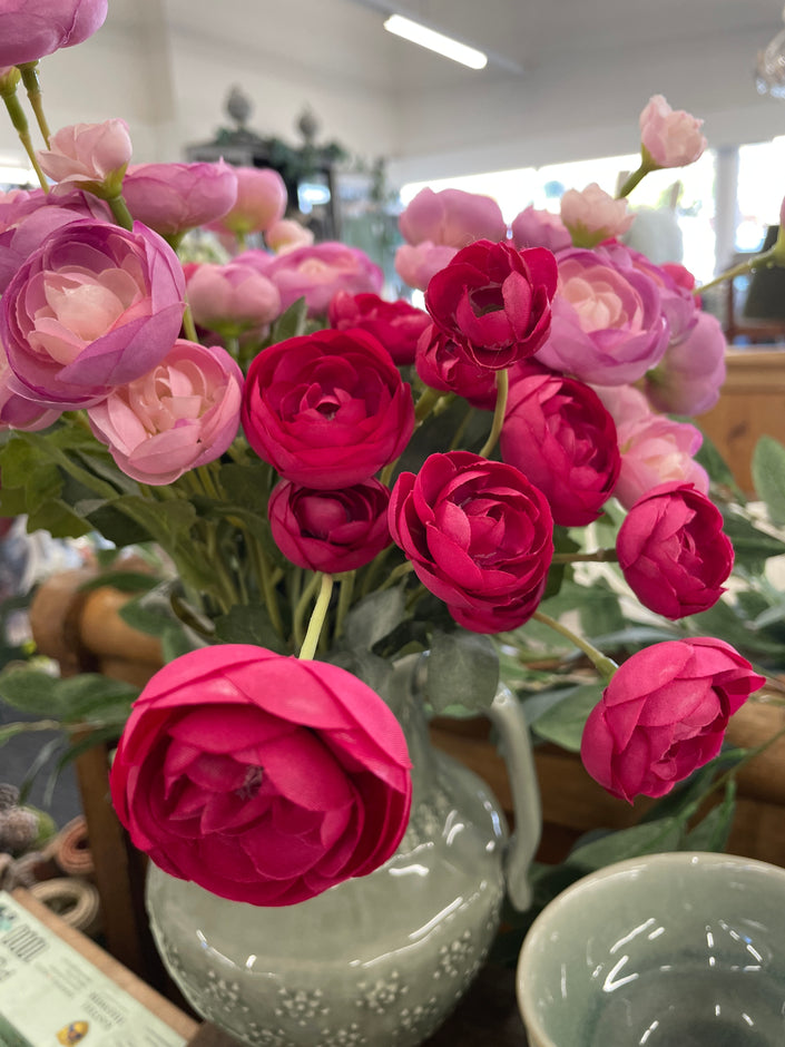 Mini Ranunculous Beauty