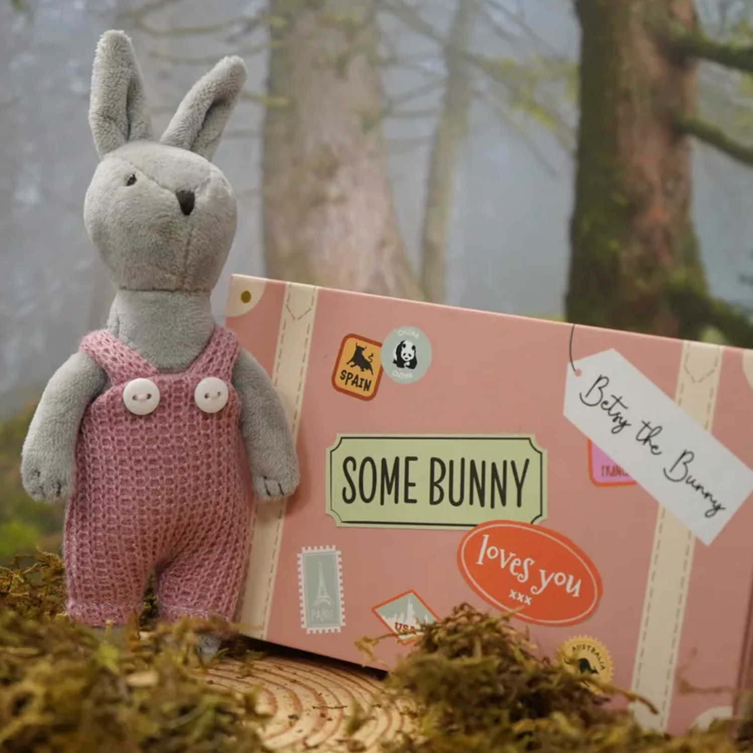 Wild Wanderers Toy in Box