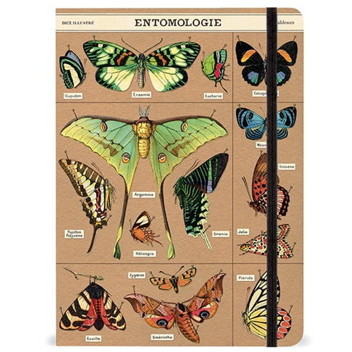 Entomology Notebook-A5
