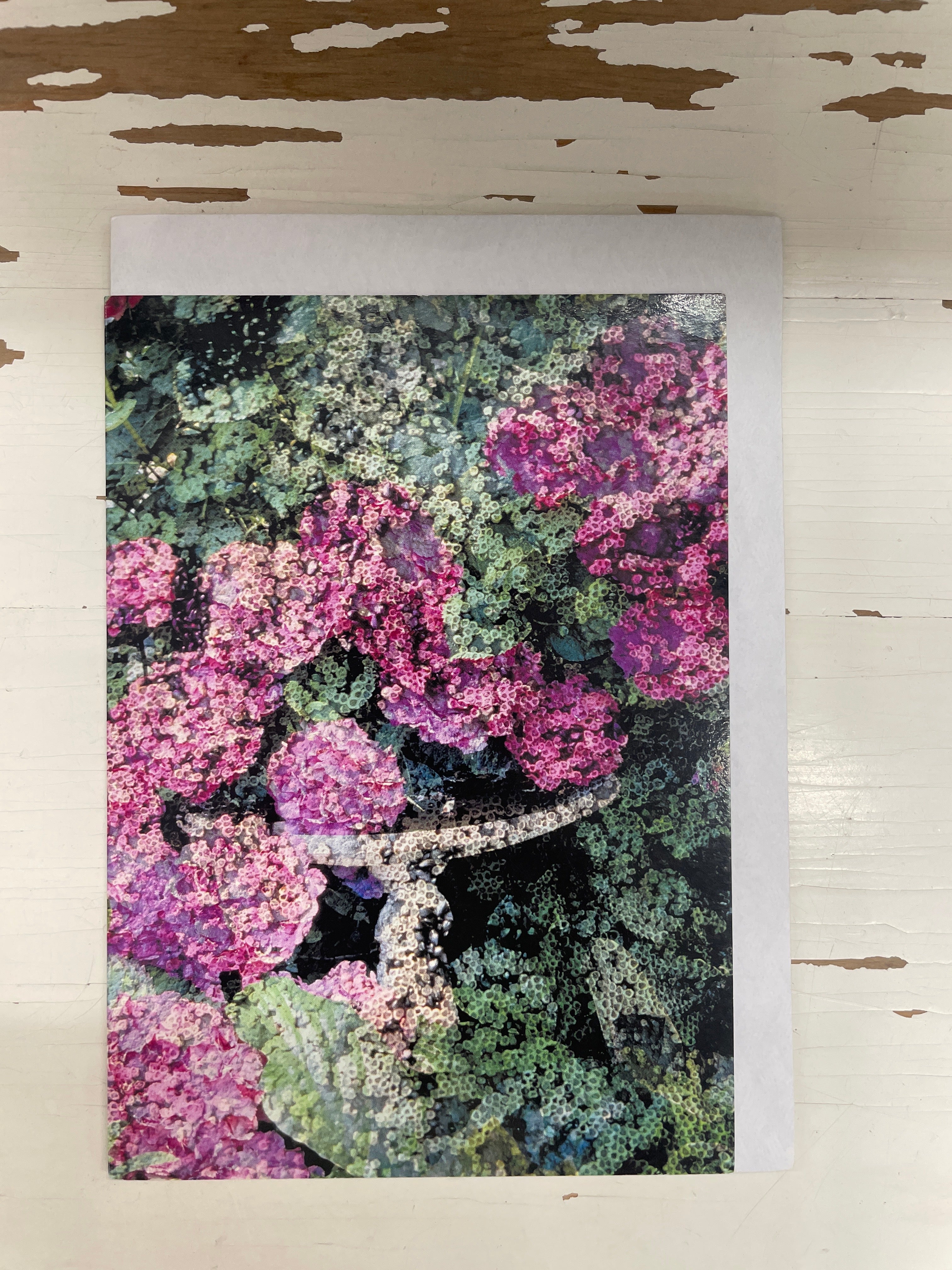 Cynthia van de Loo card