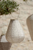 Lumiz Lantern Tulip 20cm Lace Soft Blush