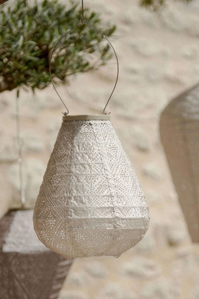 Lumiz Lantern Tulip 20cm Lace Soft Blush