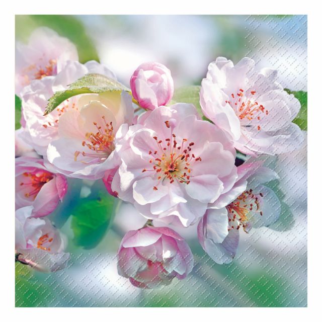 Swiss Stewo Napkins Rita Light Green