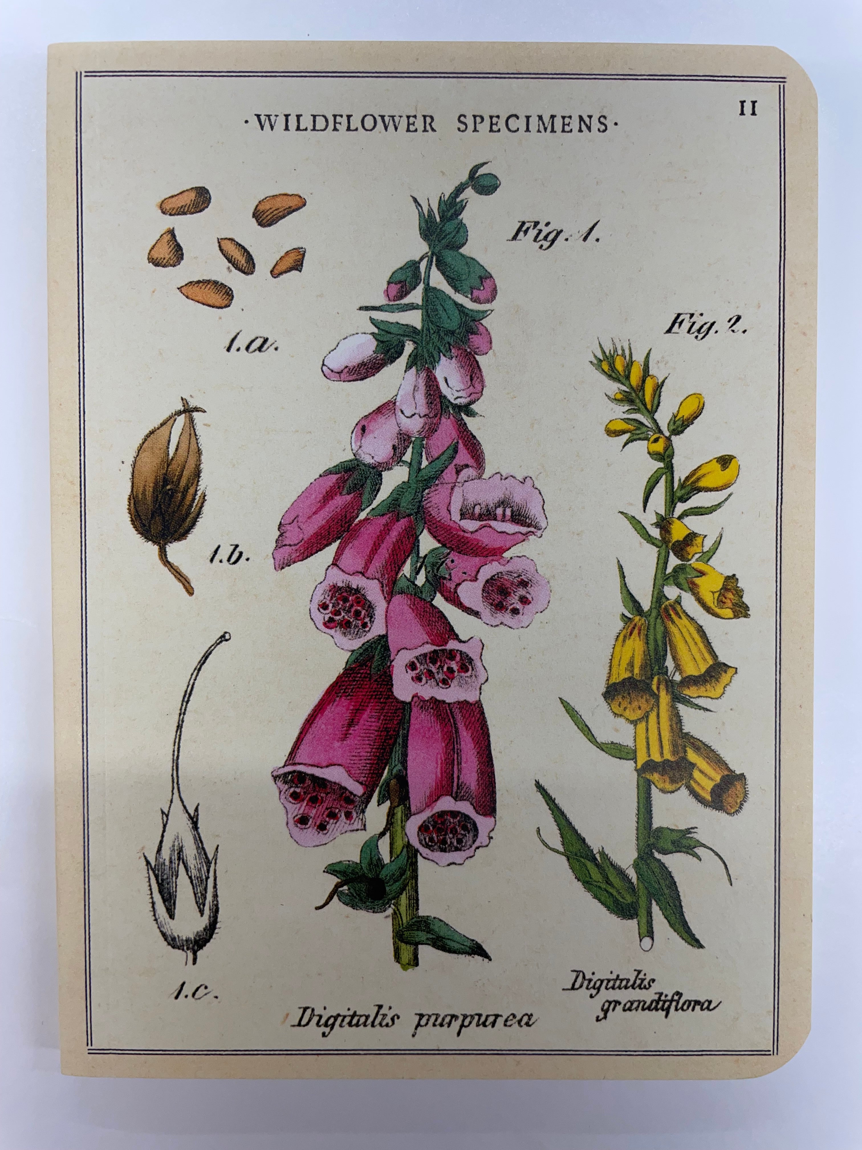 Cavallini & Co Mini Notebook