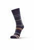 Horizon Stripe Mens Socks-Norsewear