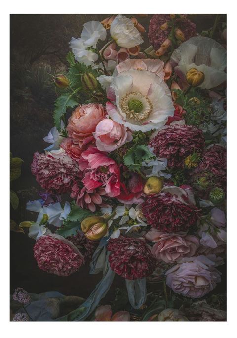 Puhoi Farmhouse Cards