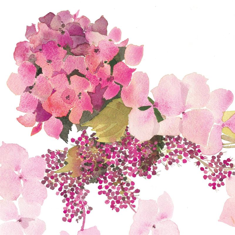 Pink Hydrangea Card