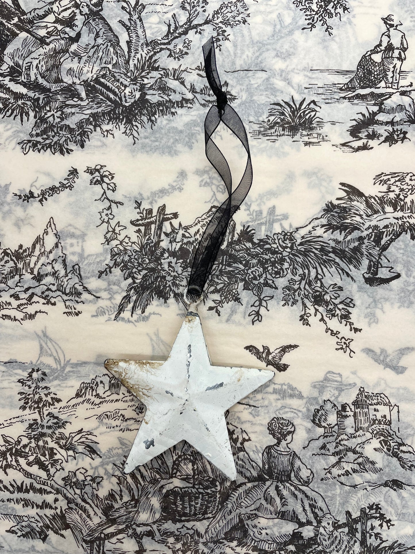 Jeanne d'Arc Living Christmas Star