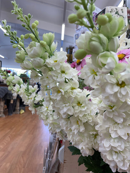 AA - Tall Early Delphinium White