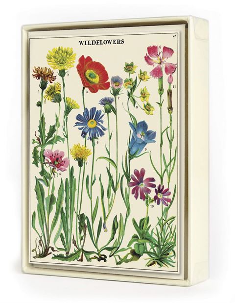 Cavallini & co - Wildflower Assorted Notecards