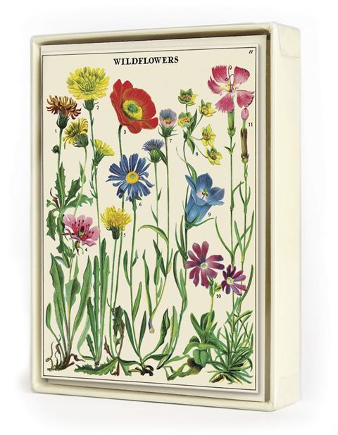Cavallini & Co - Wildflower Assorted Notecards