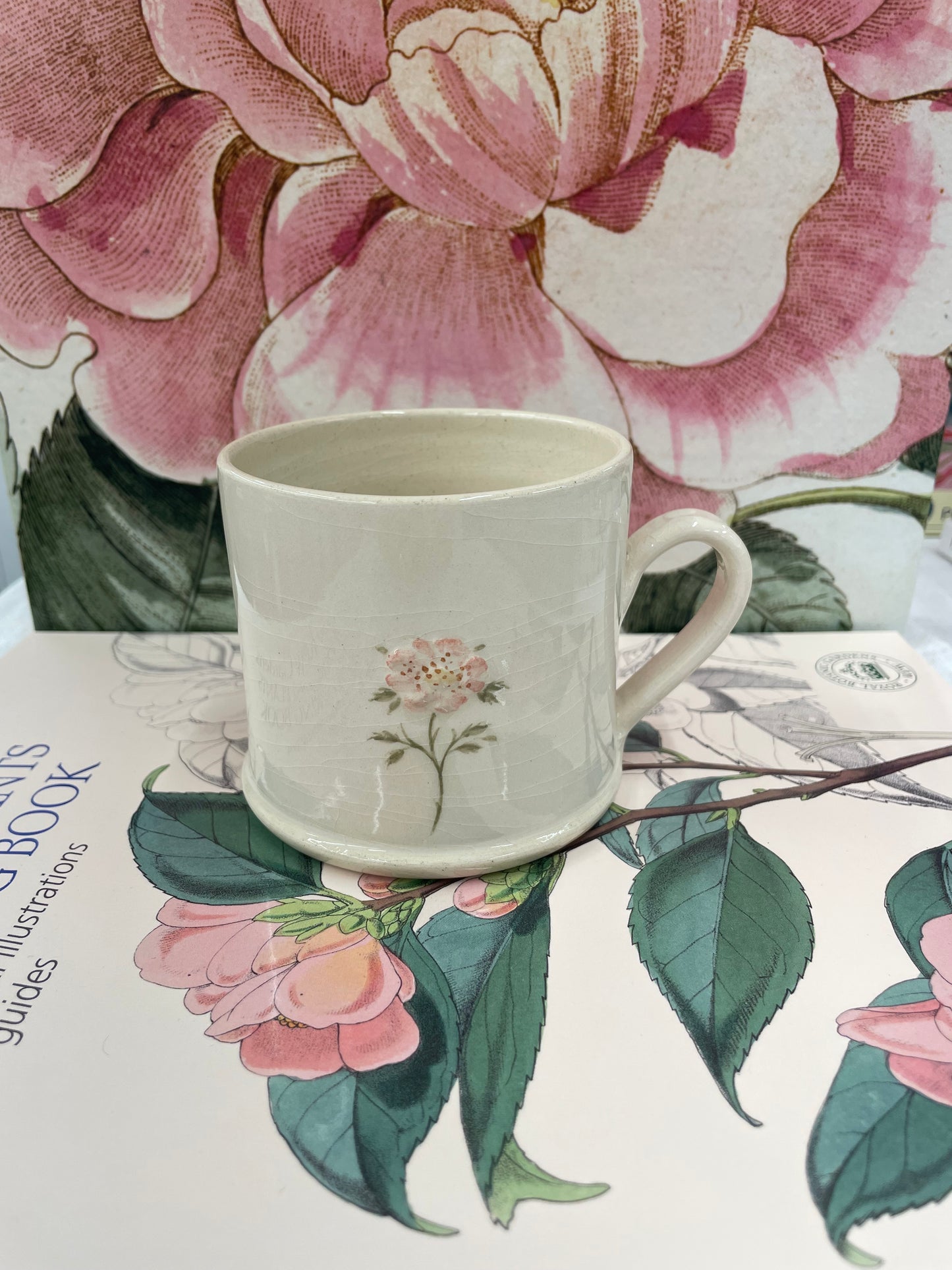 Hogben Mug - Dog Rose (SECONDS)