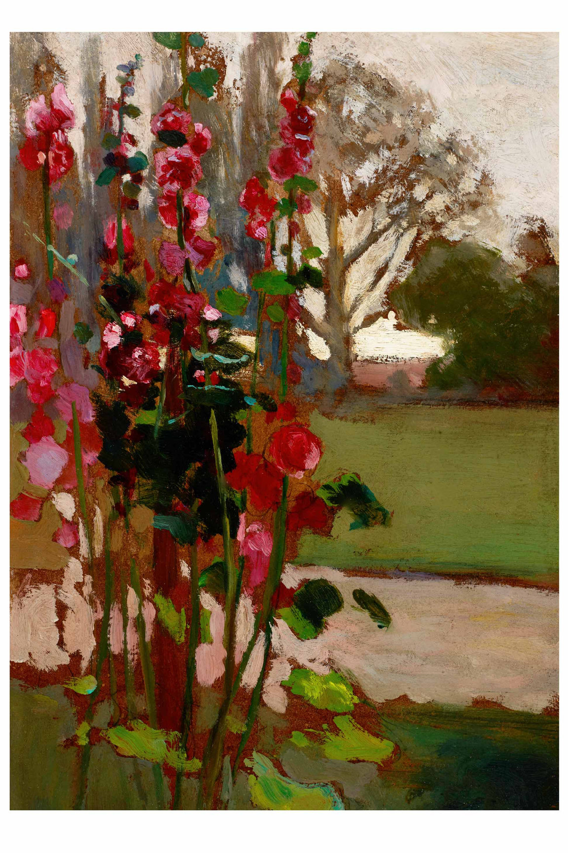 Hollyhocks Art Print by Lazybones