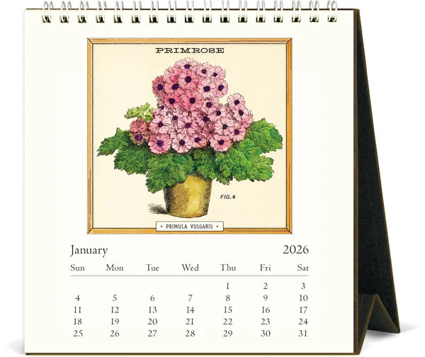 Cavallini 2026 Desk Calendar - Jardiniere