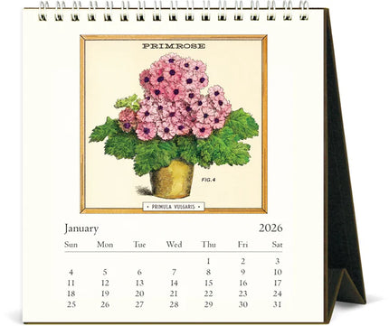 Cavallini 2026 Desk Calendar - Jardiniere