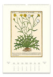Cavallini 2026 Wall Calendar - Herbarium