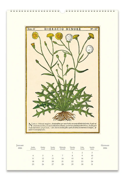 Cavallini 2026 Wall Calendar - Herbarium