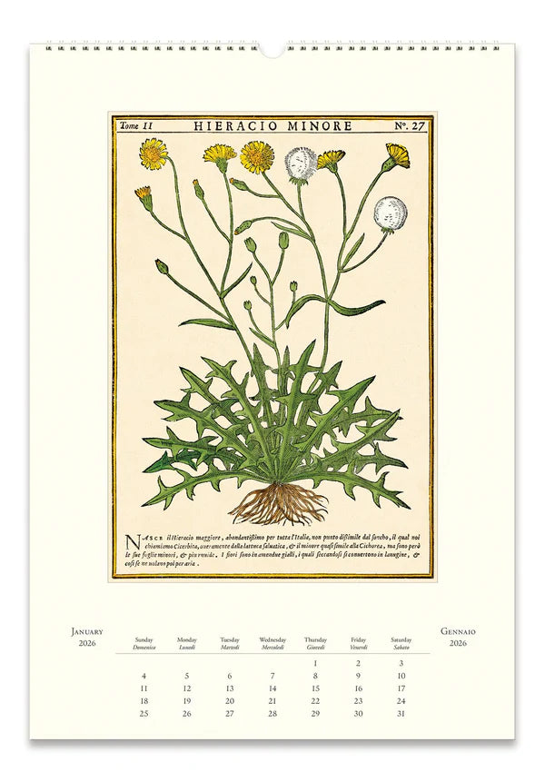 Cavallini 2026 Wall Calendar - Herbarium