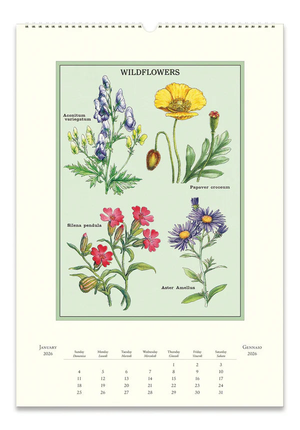 Cavallini 2026 Wall Calendar - Wildflowers