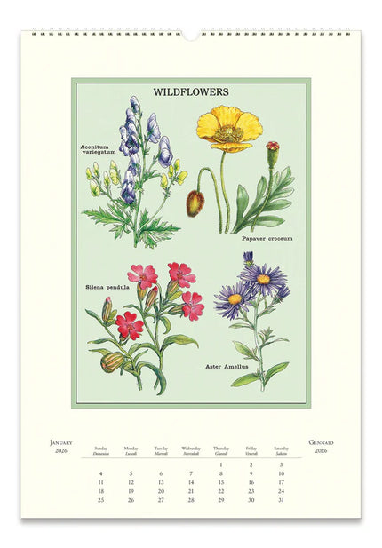 Cavallini 2026 Wall Calendar - Wildflowers
