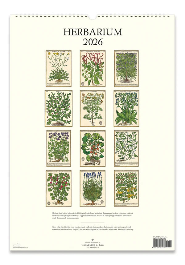 Cavallini 2026 Wall Calendar - Herbarium