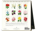 Cavallini 2026 Desk Calendar - Botanica