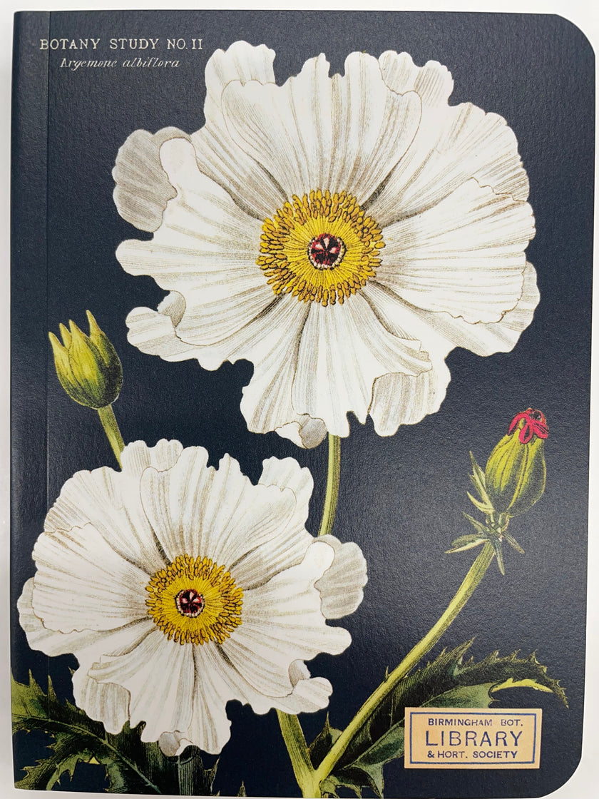 Cavallini & Co Mini Notebook