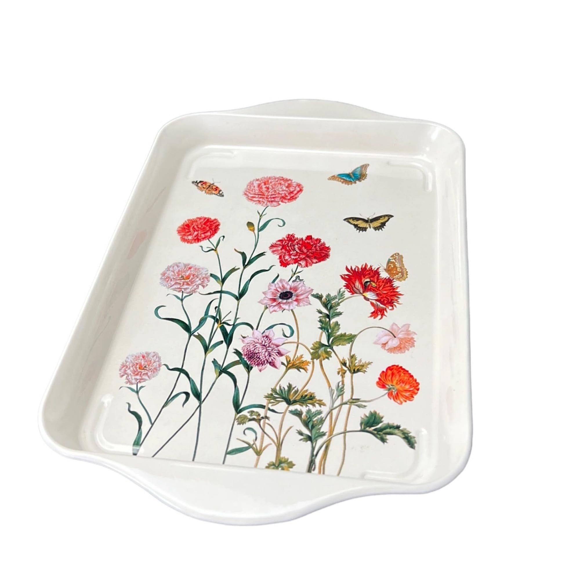 Maria Sibylla Merian Tinware