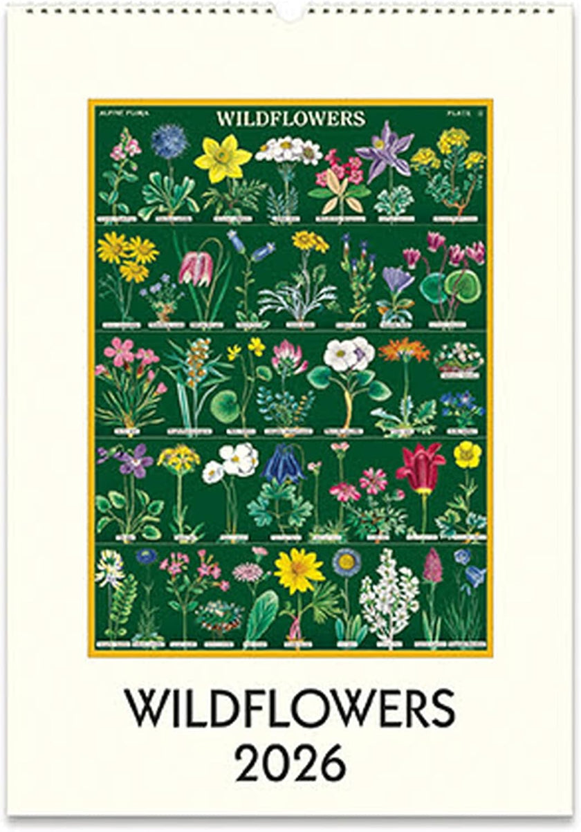 Cavallini 2026 Wall Calendar - Wildflowers