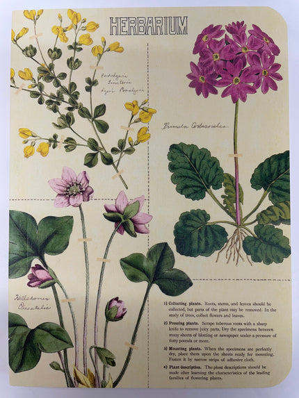 Cavallini & Co Mini Notebook