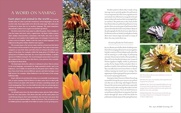 The Essential Guide to Bulbs-Jenny Rose Carey