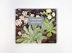 Angie Lewin - 6 Postcards