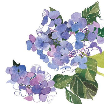 Blue Hydrangea Card