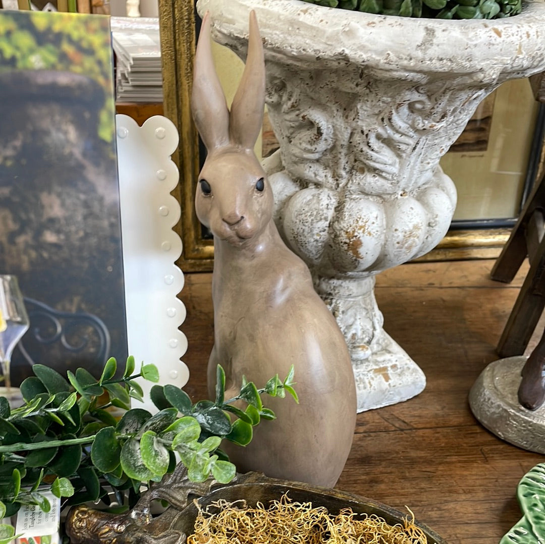 Harold the Hare Turning Brown