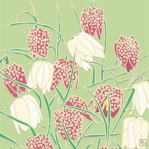 Fritillary Card