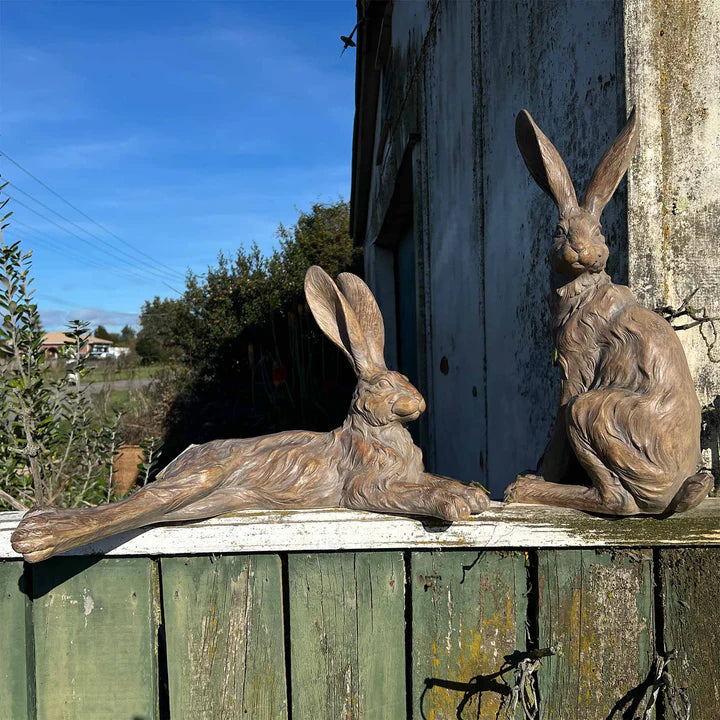 Country Hare Standing