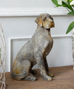 Baron Dog