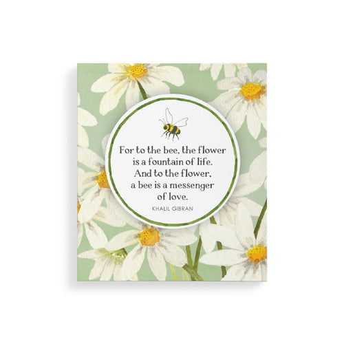 Affirmations Pocket Note