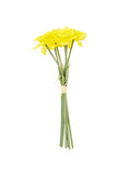 Daffodil bundle