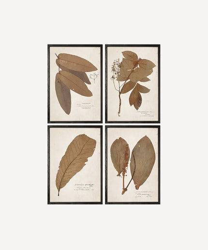 Leaf Wall Art by French Country Collections
