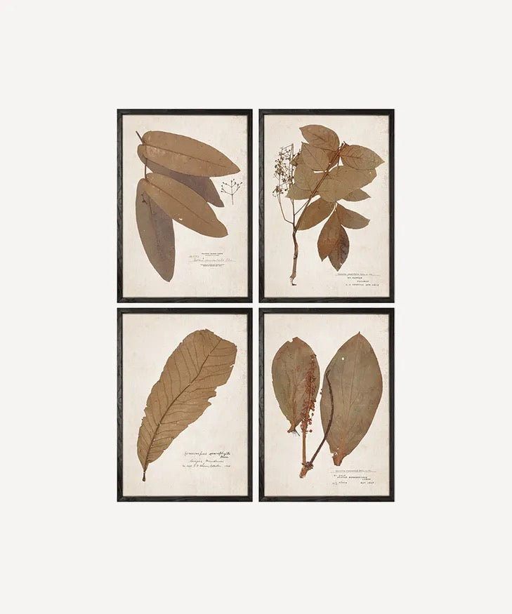 Leaf Wall Art by French Country Collections
