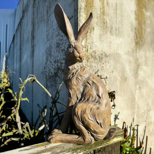 Country Hare Standing