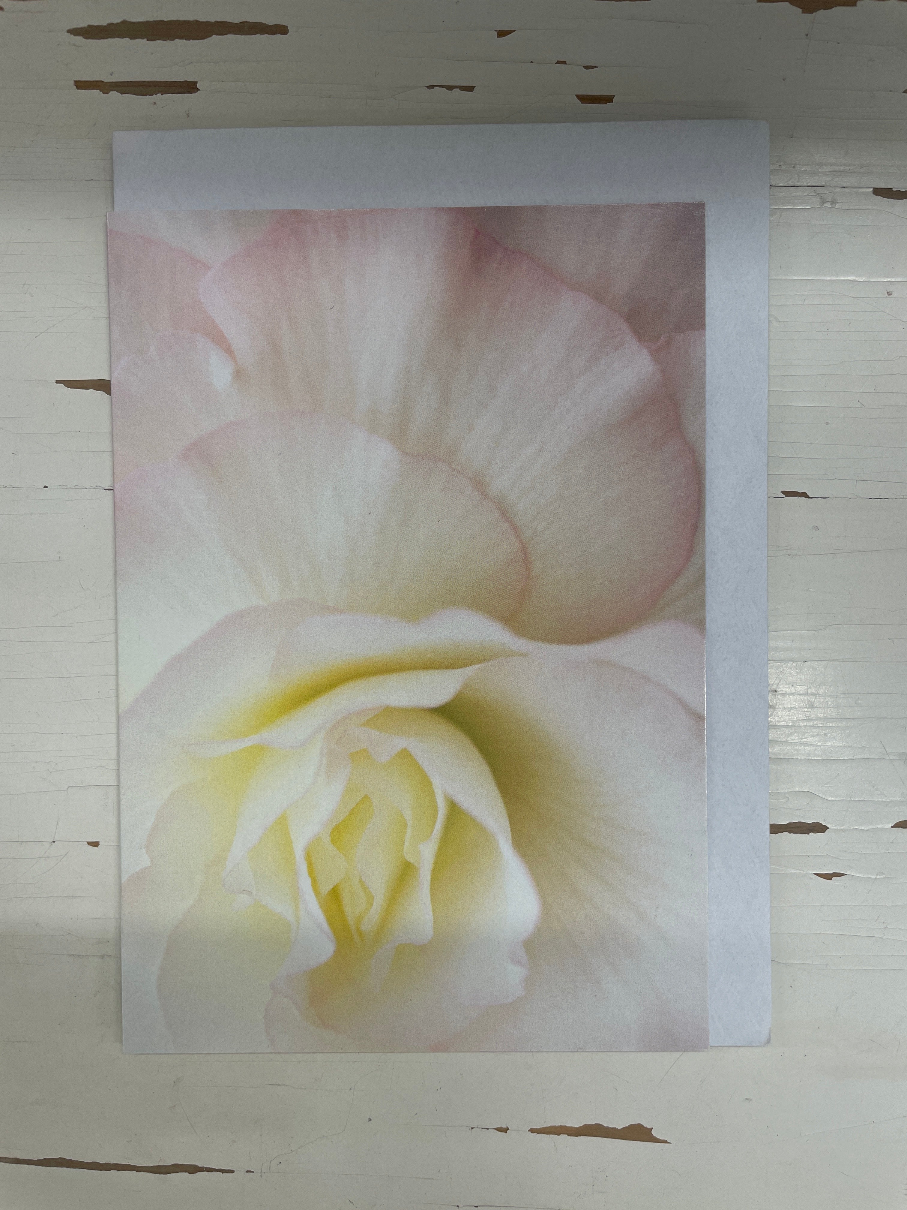 Cynthia van de Loo card