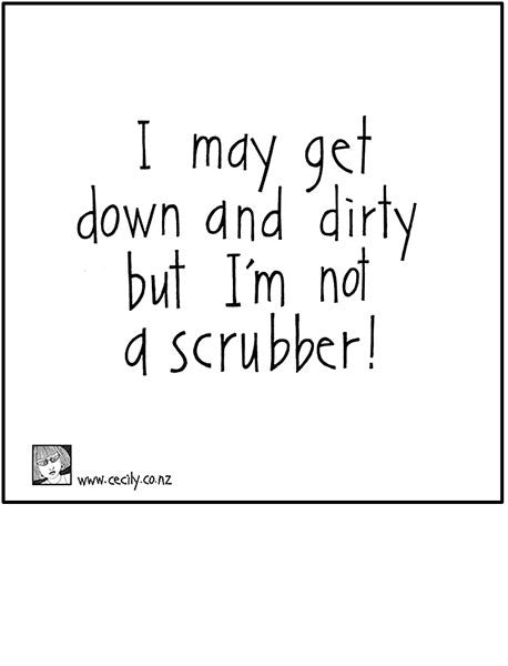 Microfibre Cecily Cleaning Cloth