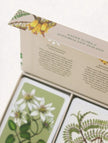 Close-up of New Zealand botanical playing cards