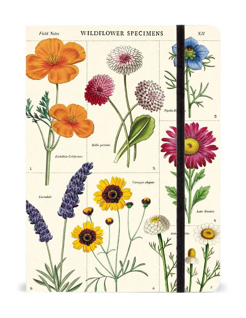Wildflowers Notebook A5